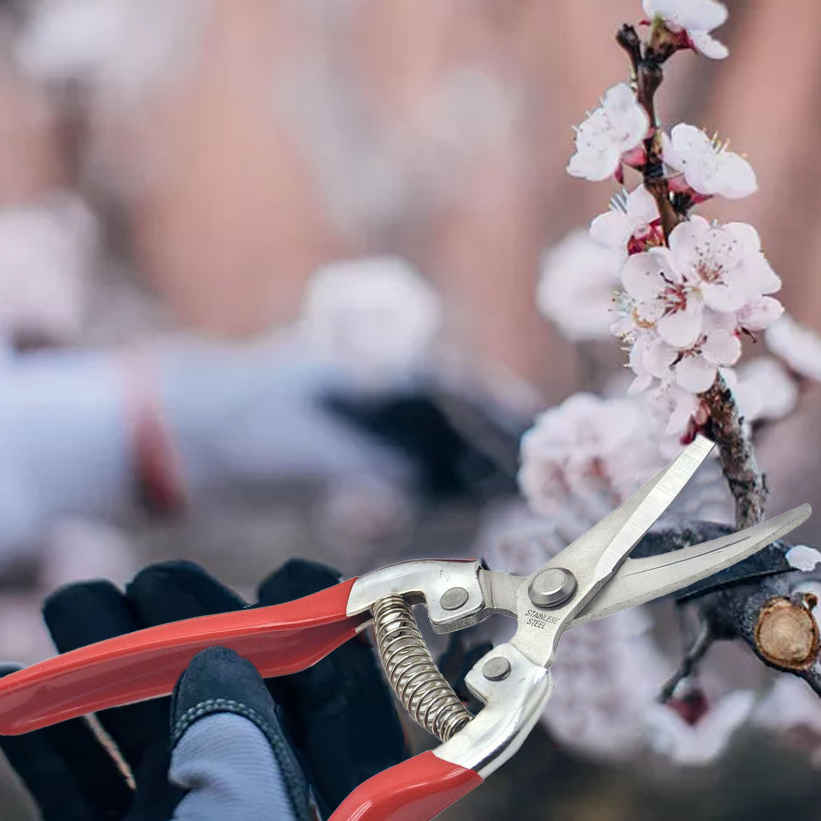 Gartenschere Mit Scharfer Edelstahlklinge Und Kunststoffgriff, Rote Handschere Für Den Garten