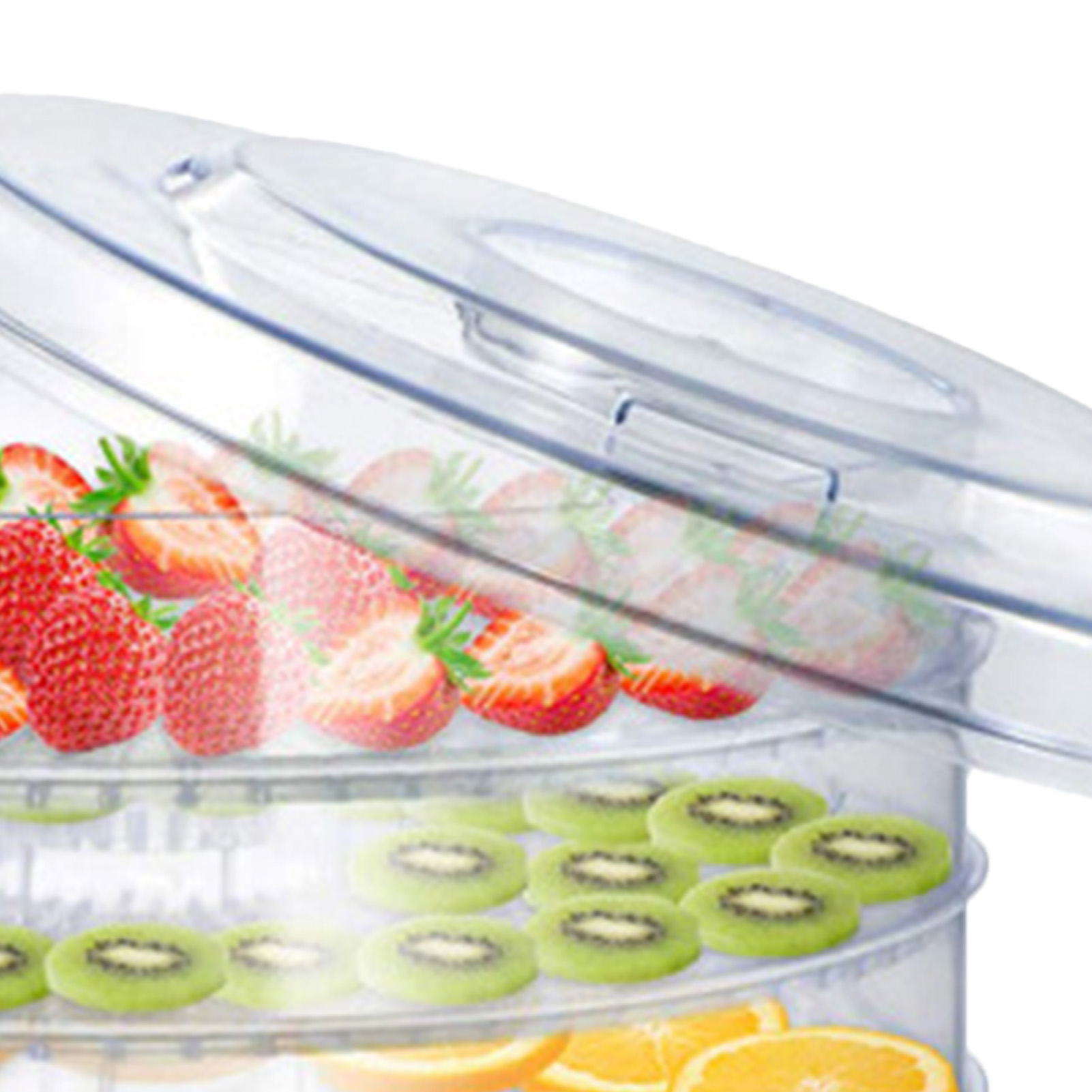 Dörrgerät Für Lebensmittel, Fleisch, Obst Und Gemüse, Transparent, Eu-stecker, 220 V