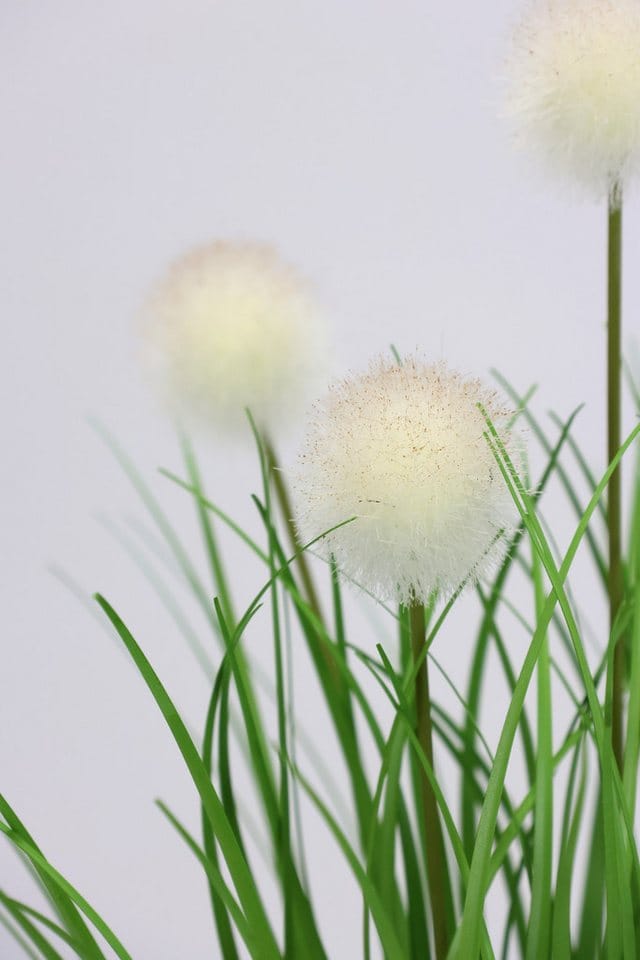 Kunstpflanze Knopfgras im Topf, I.GE.A., Höhe 35 cm