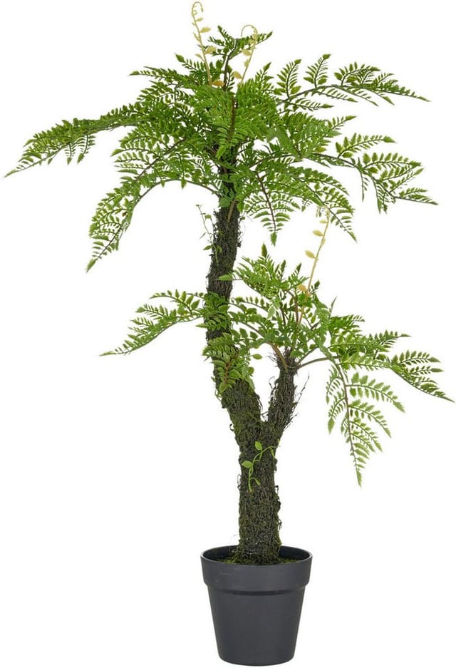 Kunstpflanze Baumfarn, Creativ green, Höhe 80 cm, an Moosstamm
