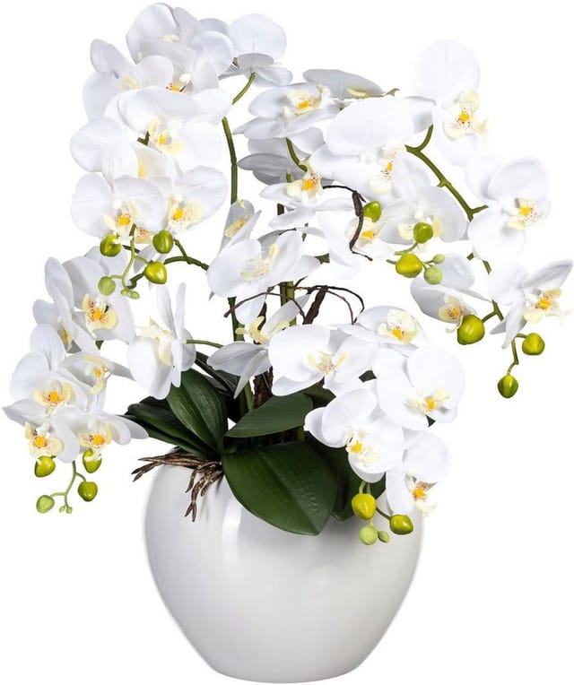 Kunstorchidee Phalaenopsis im Keramiktopf Orchidee Phalaenopsis, Creativ green, Höhe 56 cm