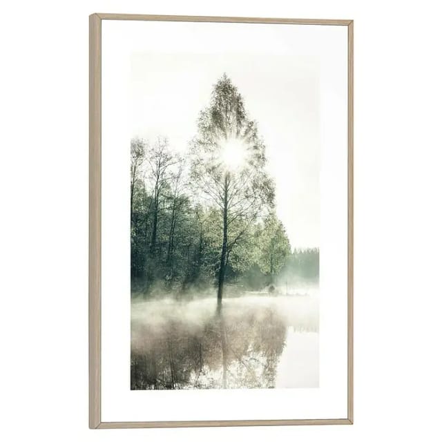 Reinders! Poster Sonne durch die Bäume