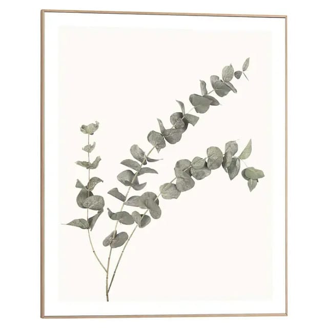 Reinders! Bild mit Rahmen Eucalyptus, (1 St)
