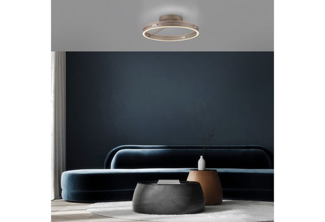 Neuhaus PURE LED Deckenleuchte PURE Loop, CCT - über Fernbedienung, LED fest integriert, warmweiß - kaltweiß, Dimmbar über Fernbedienung, CCT, separat steuerbar