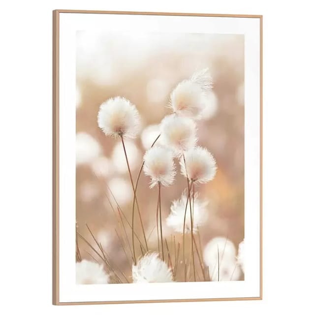 Reinders! Bild mit Rahmen Cotton Pops