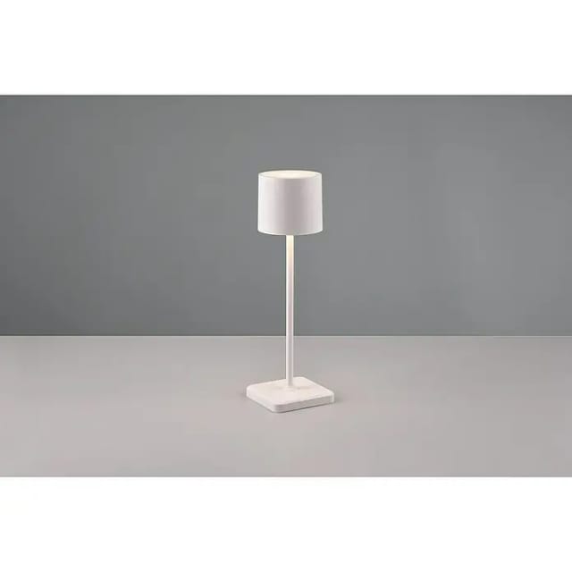 Reality Leuchten LED Außen-Tischleuchte Fernandez, Dimmfunktion, USB-Ladefunktion, LED fest integriert, Farbwechsler, warmweiß - kaltweiß, Garten Akku Tischlampe USB Ladestation dimmbar Lichtfarbe einstellbar