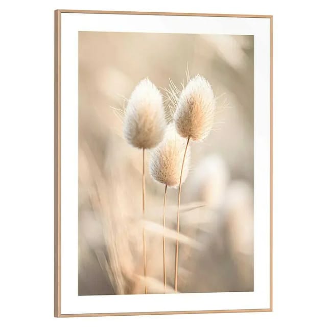 Reinders! Poster Plumes, Wohnzimmer - Grasfedern - Beige - MDF - Blumen und Pflanzen - 30x40 cm