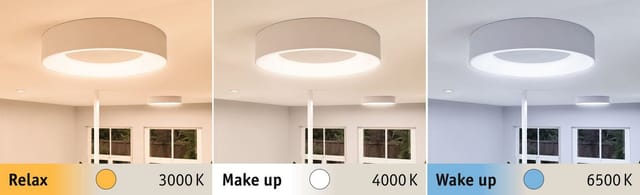 Paulmann LED Deckenleuchte Selection Bathroom Casca IP44 1x23W 400mm, 230V Metall/Kunststoff, LED fest integriert, Tageslichtweiß, WhiteSwitch