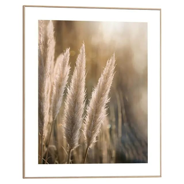 Reinders! Kunstdruck Pampas