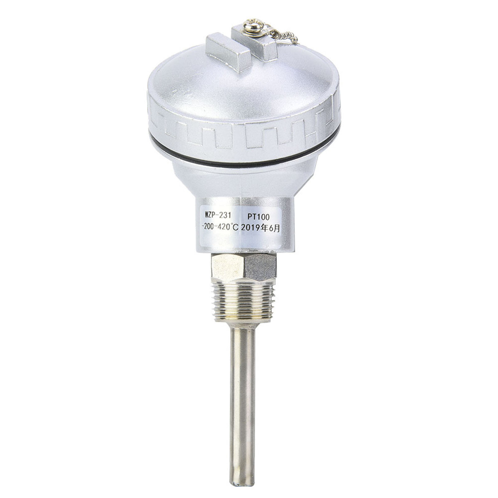 Rtd Pt100 Temperatursensor Mit Sonde, 1/2" Npt Gewinde-thermoelementanschlusskopf (50 Mm Länge)