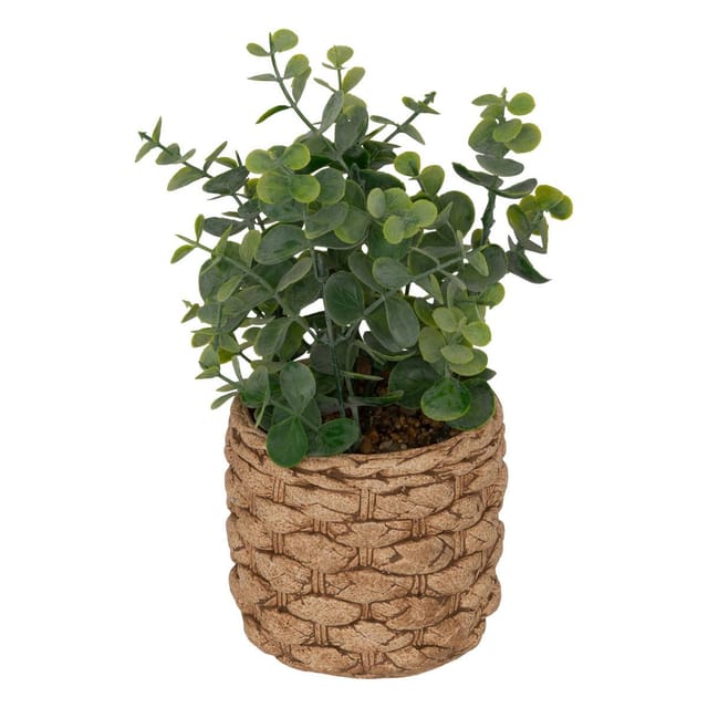 Kunstpflanze Künstlicher Eukalyptus JAYE im Keramiktopf, H. 27 cm Zimmerpflanze, Atmosphera Créateur d'intérieur, Höhe 27 cm