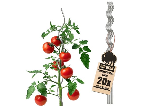 BigDean Rankgitter Tomatenspiralstäbe 110cm verzinkt Rankstab Ranke Pflanzstab Set, 20 St., Tomatenstäbe, Spiralstab, Mit Bindeloch