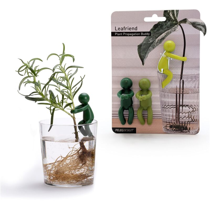 Pflanzenstützset, Zimmerpflanzenstab, Pflanzenstütze Und Stab Für Monstera, Geschenkidee (3er-set)