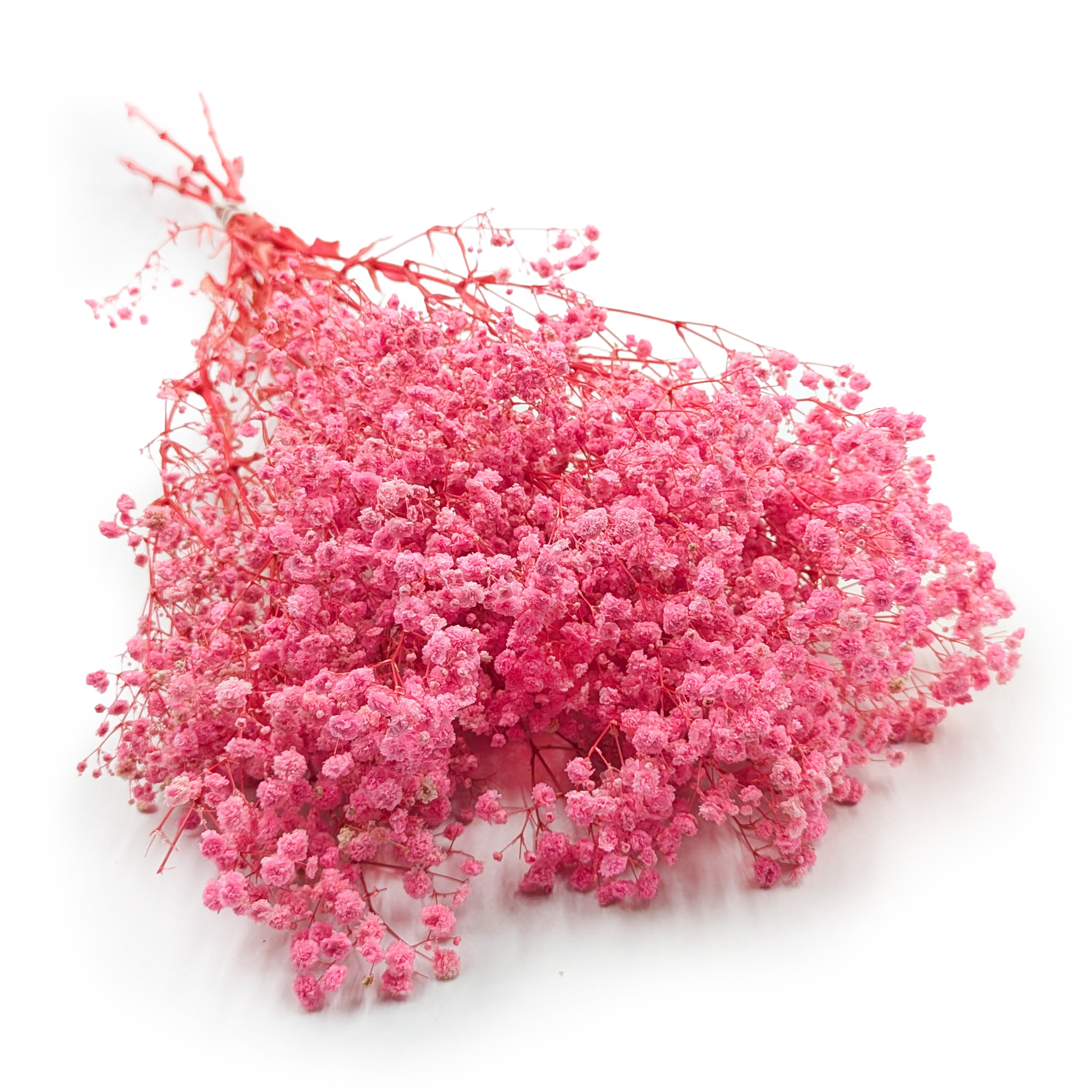 Stabilisiertes Schleierkraut (gypsophila) – Royal Bouquet – Rosa