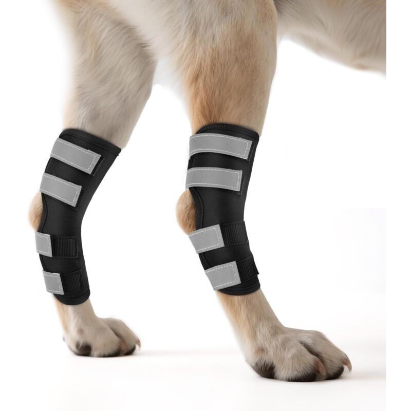 Knieorthese Für Hunde, 2 Stück Für Die Hinterbeine Mit Reflektierenden Gurten, Beinschiene Zur Gelenkunterstützung Bei Verletzungen Und Verstauchungen, Xl