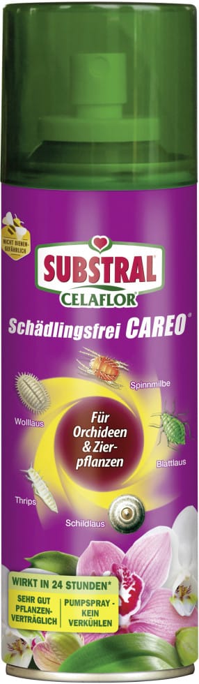 Substral Pflanzen-Pilzfrei Schädlingsfrei Orchideenspray 200 ml Pumpspray Zierpflanzen, 1-St.