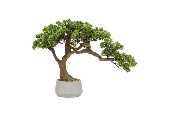 Kunstpflanze Kunst-Bonsai POLIN, H. 60 cm Zimmerpflanze, Atmosphera Créateur d'intérieur, Höhe 60 cm