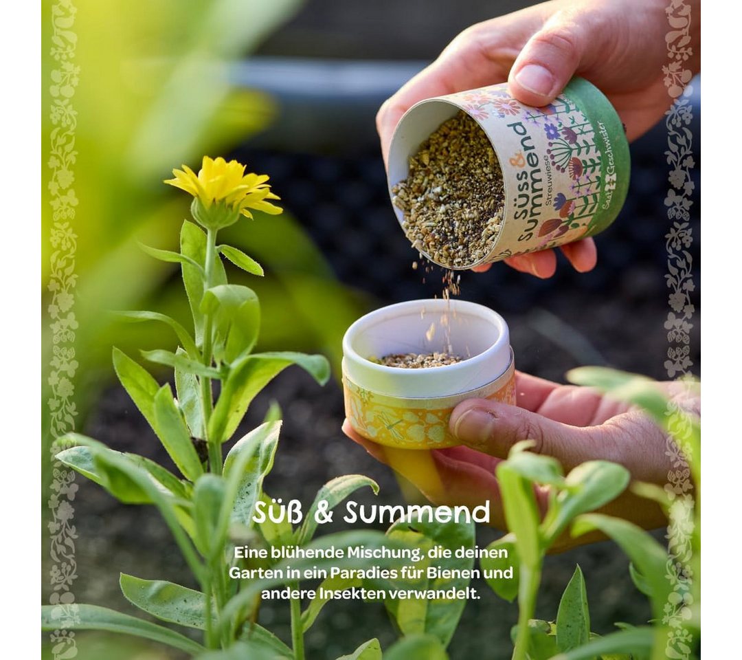 Die Stadtgärtner Gartenpflege-Set Streuwiese Saatgutmischung, Tolles Garten-Geschenk, Samenfest, Dürretolerant, Hohe Keimrate, Duftend, Bestäuber anziehen