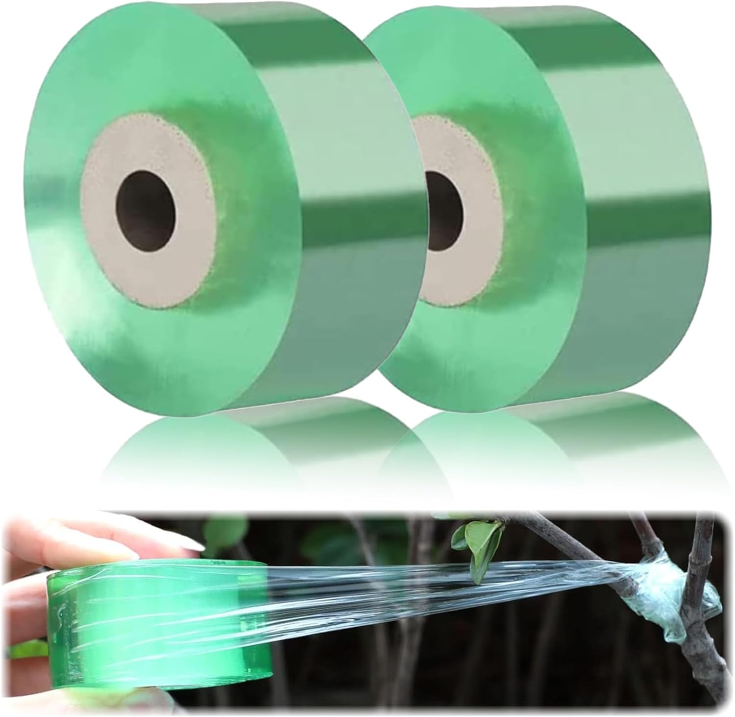 2 X Pvc-veredelungsband Für Obstbäume, Dehnbares Veredelungsband Für Baumpflege Und -reparatur (transparent Grün) Dehnbares Veredelungsband Für Baumschulen Und -reparatur