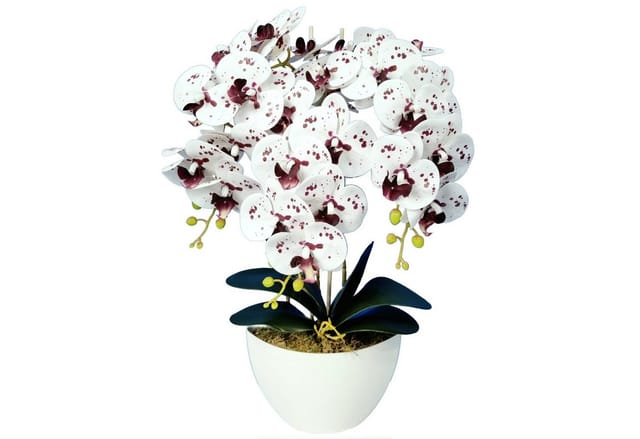 Kunstorchidee Orchidee, damich, Höhe 60 cm, Künstliche Orchidee im Blumentopf