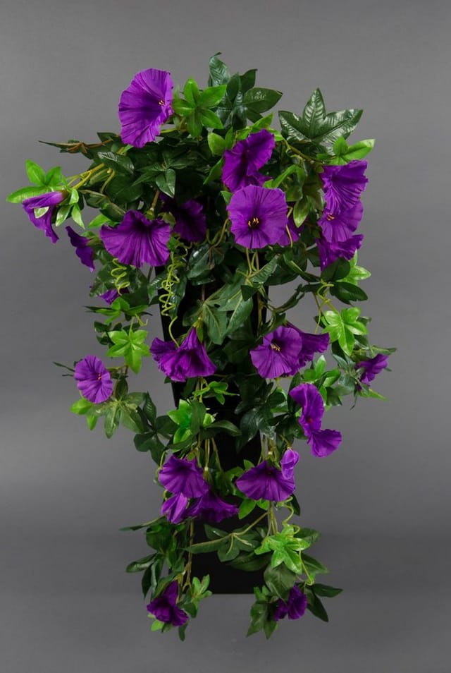 Kunstranke Petunienranke 65cm ZF Kunstpflanzen Kunstblumen künstliche Blumen Petunie, Seidenblumen Roß, Höhe 65 cm, Lila