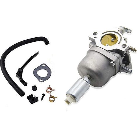 794572 Vergaser, Kompatibel Mit Briggs & Stratton 791858, 791888, 792358, 793224