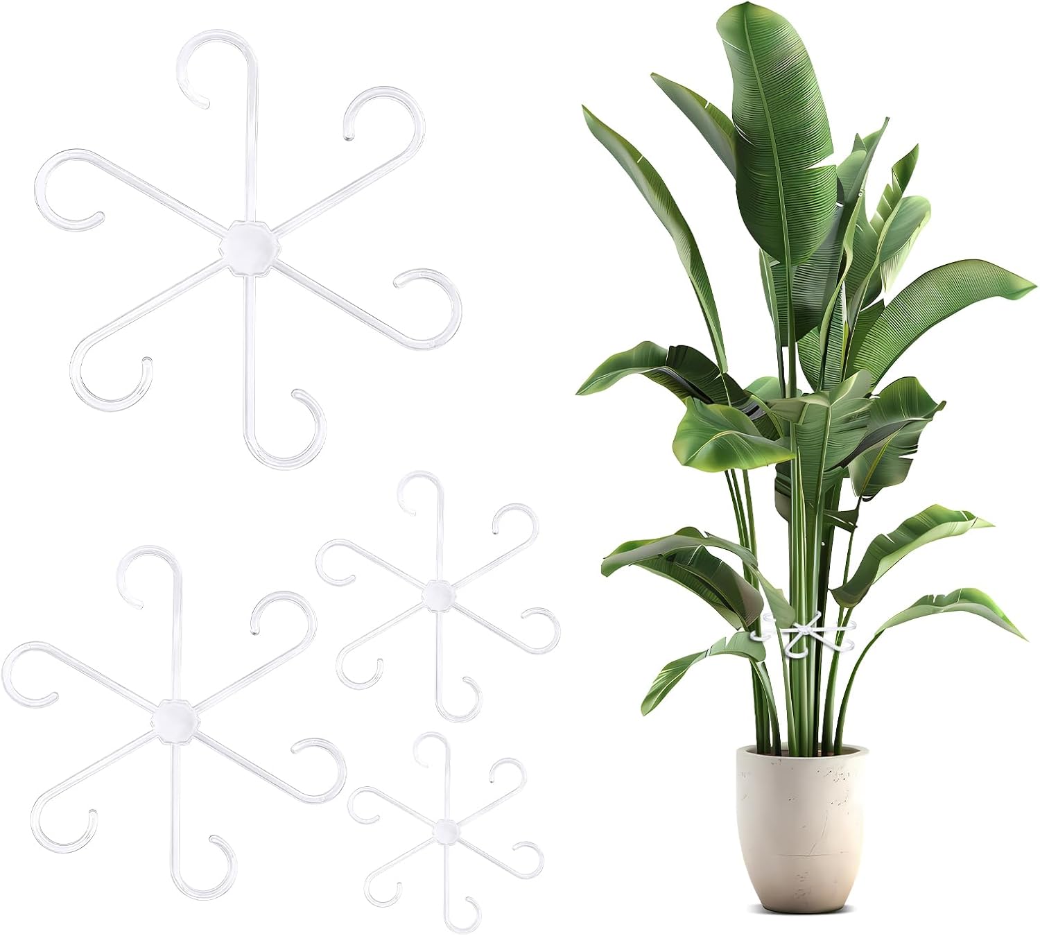 Monstera-pflanzenständer Für Zimmerpflanzen, Blumen, Rosen, Tomaten, Stäbe Und Zimmerpflanzen, Stauden Und Blumen (farblos)