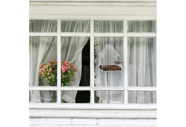 relaxdays Vogelhaus Fenster-Vogelfutterhaus 2er Set