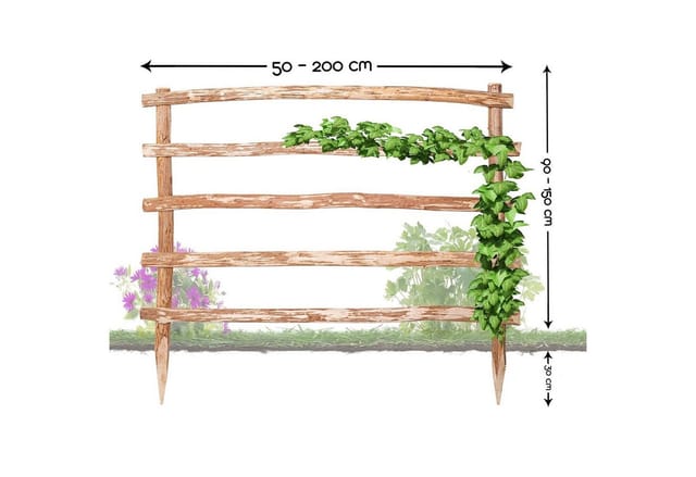 BooGardi Rankhilfe Kletterhilfe aus Holz, Höhe über der Erde 90 x Breite 50 cm · 33 Größen, Freistehend Spalier Rankgitter Spalier Rosenbogen
