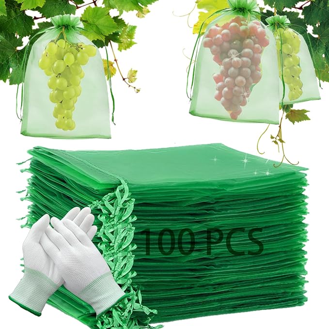 Packung Mit 100 Schutzbeuteln Für Weintrauben, 20 X 30 Cm, Aus Organza, Mit Kordelzug, Zum Schutz Vor Wespen, Vögeln Und Der Kirschfruchtfliege (grün B)