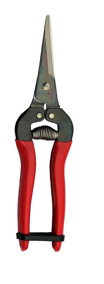 FELCO Gartenschere Leseschere ARS 300L Ernteschere Floristenschere Traubenschere