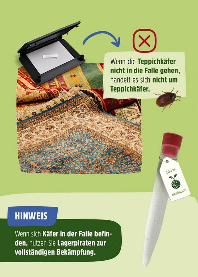 Futura-Shop Insektenfalle Teppichkäferfalle giftfreie Pheromonfalle - insektizidfrei, geruchsneutral