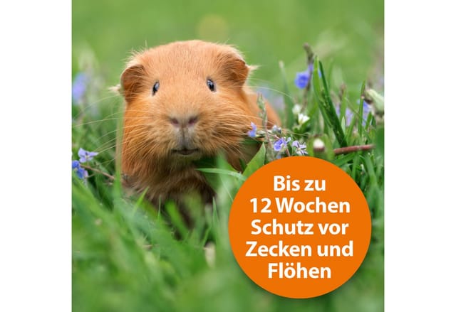 Ardap Insektenspray Ardap Spot-On für Kleintiere 1-4 kg 3 x 0.4 ml