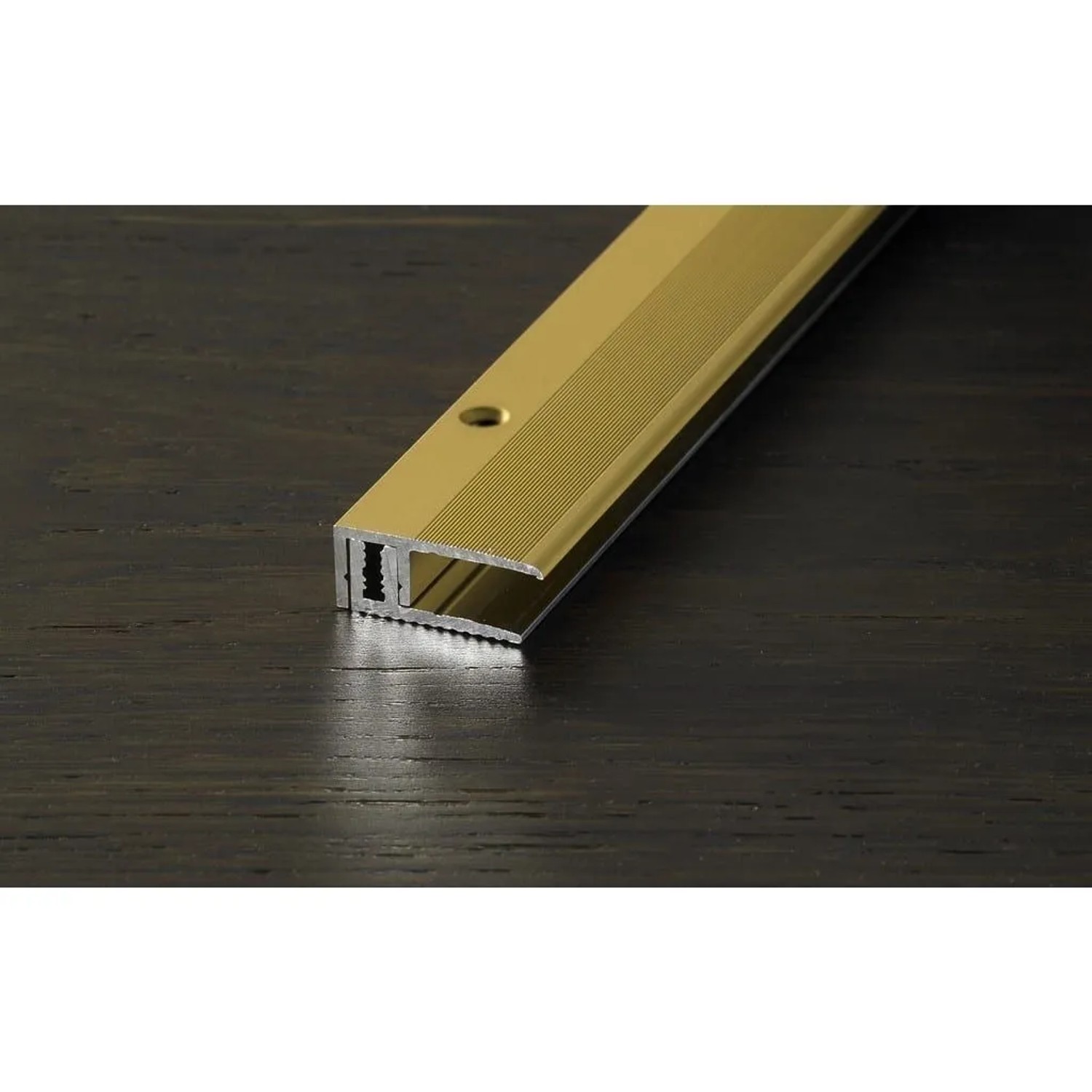 Proline Abschlussprofil Provario Universal Aluminium Eloxiert Champagne 100 cm Lang