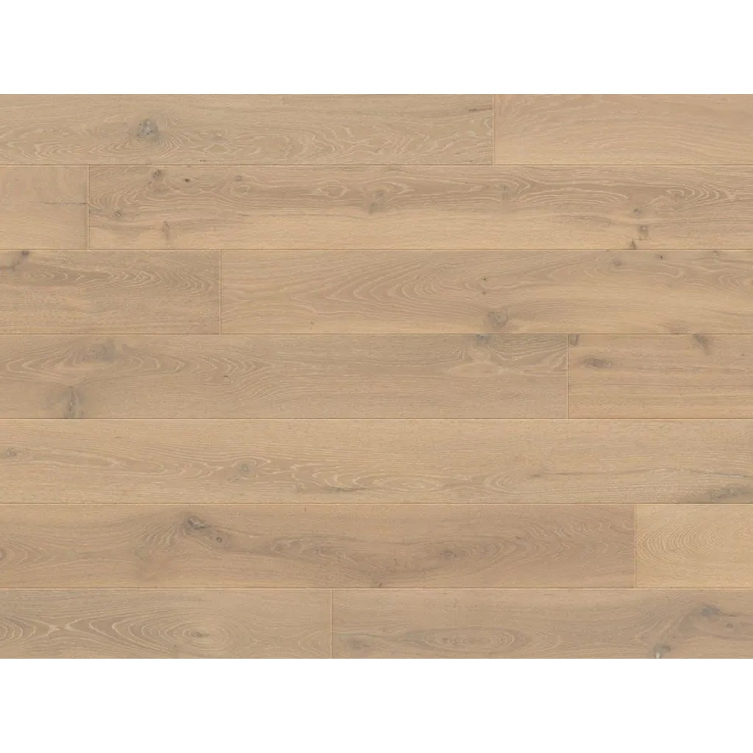 Timefloor Parkett Palazzo Kalkeiche Rustikal Landhausdiele
