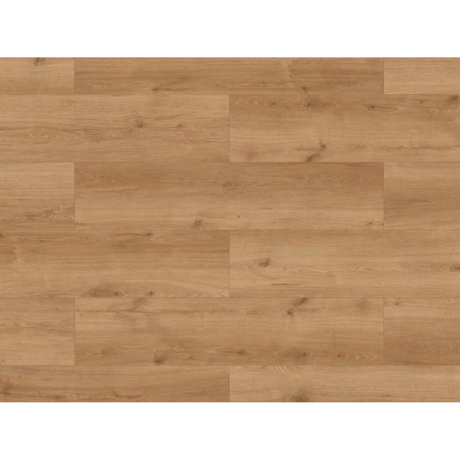 Timefloor Laminat Skyline Trend Harmony Oak Light Brown Landhausdiele