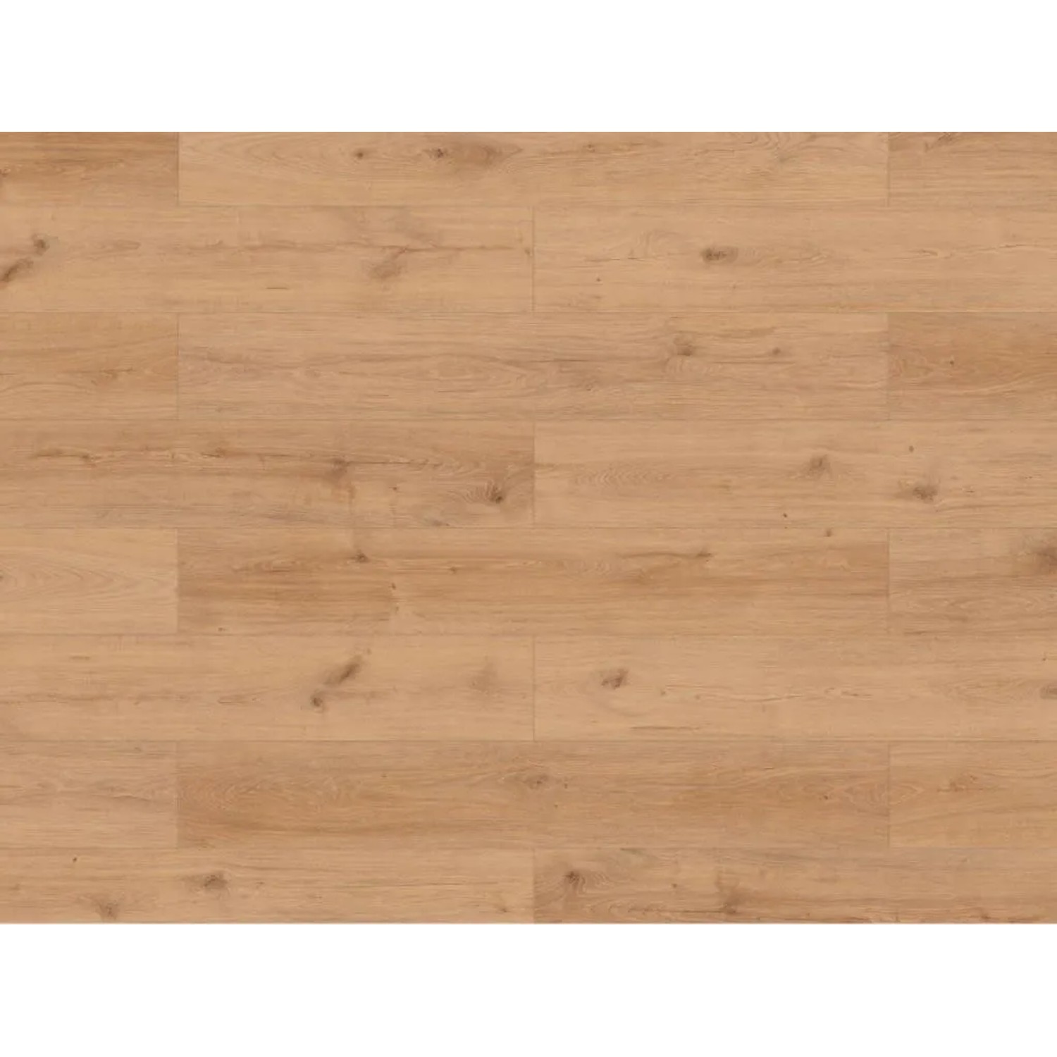 Timefloor Laminat Skyline Trend Harmony Oak Light Natural Landhausdiele