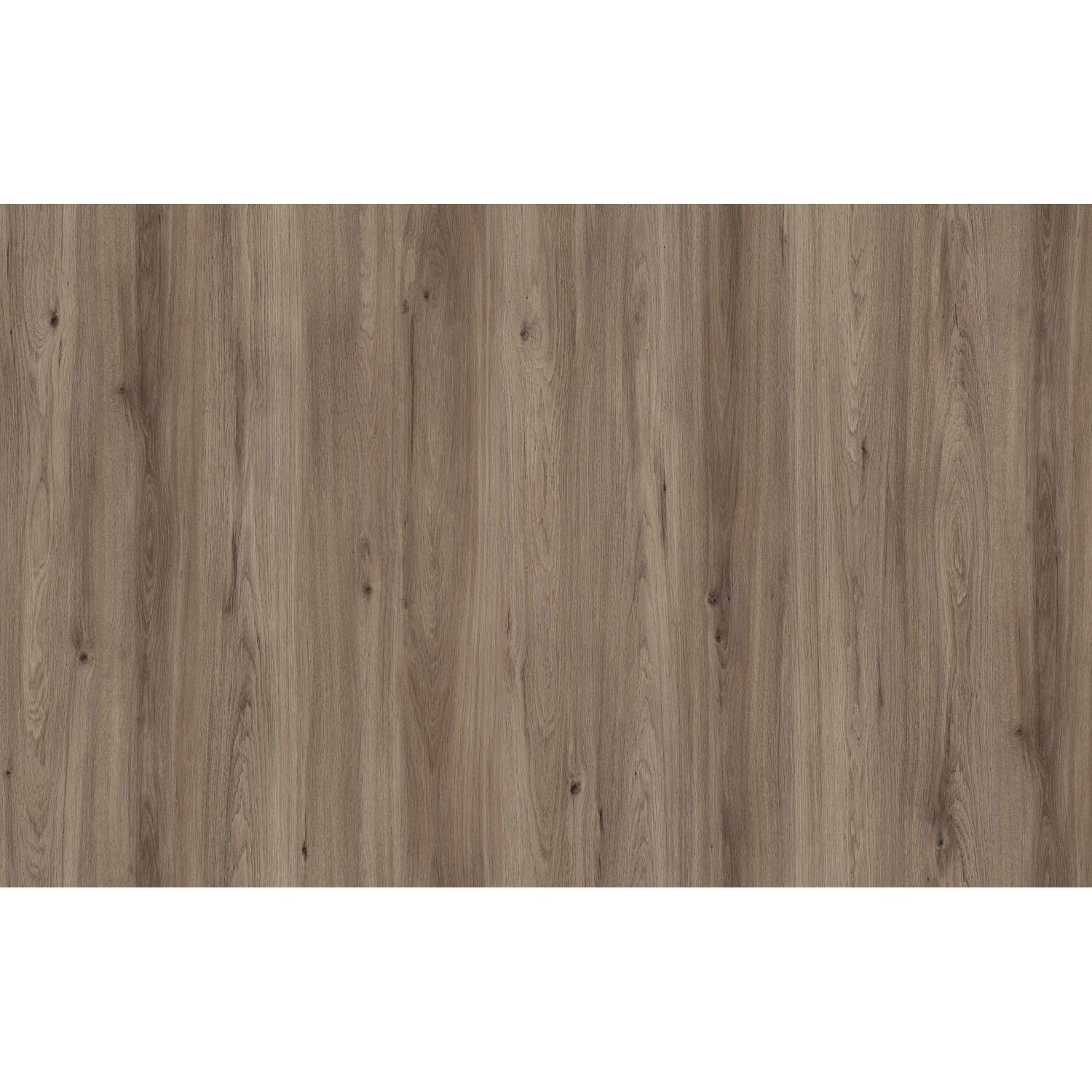 Designboden Plusnatura Quarzeiche