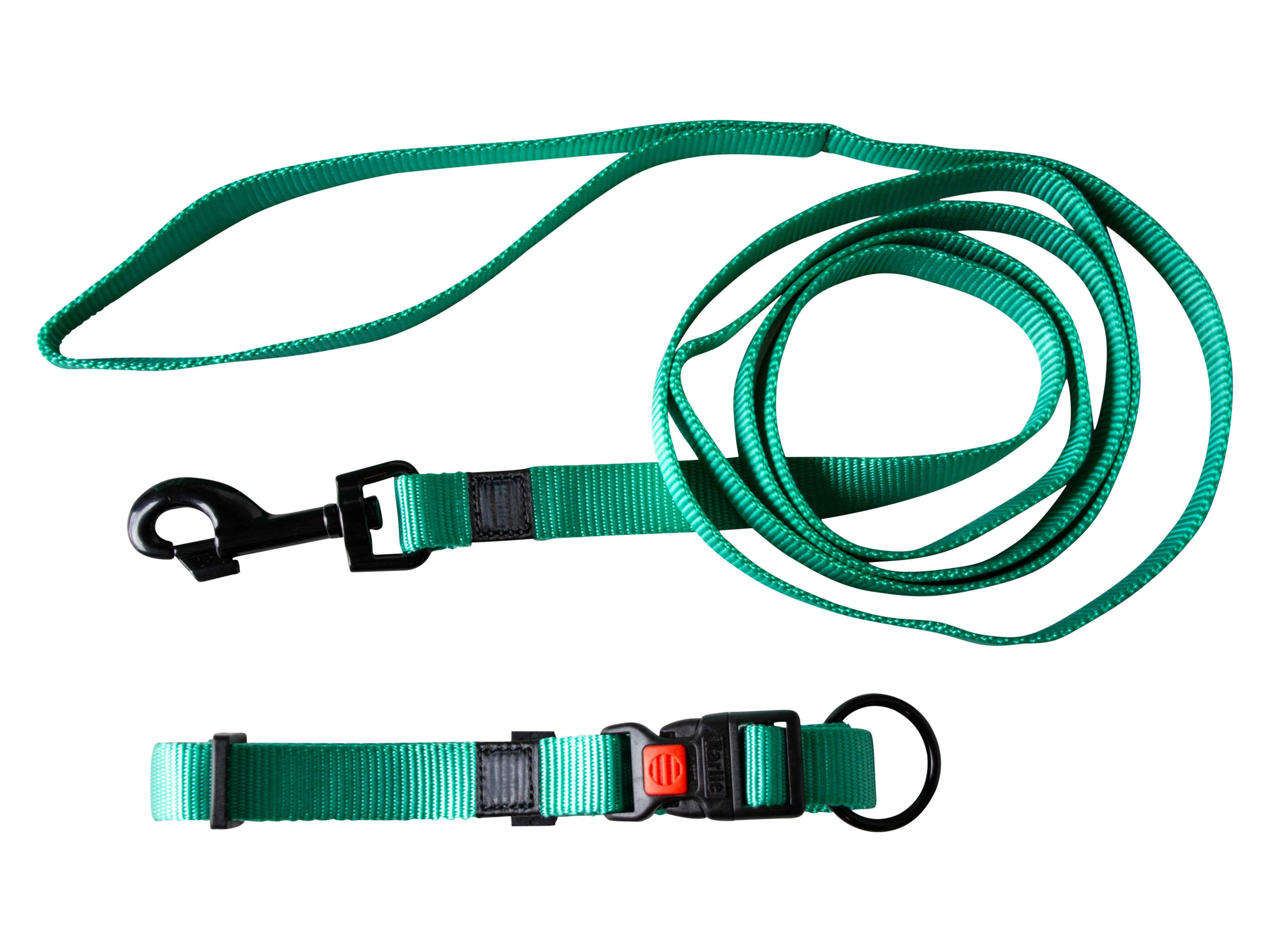 KARLIE Nylon Halsband, Größe M (Mint) Bild 3