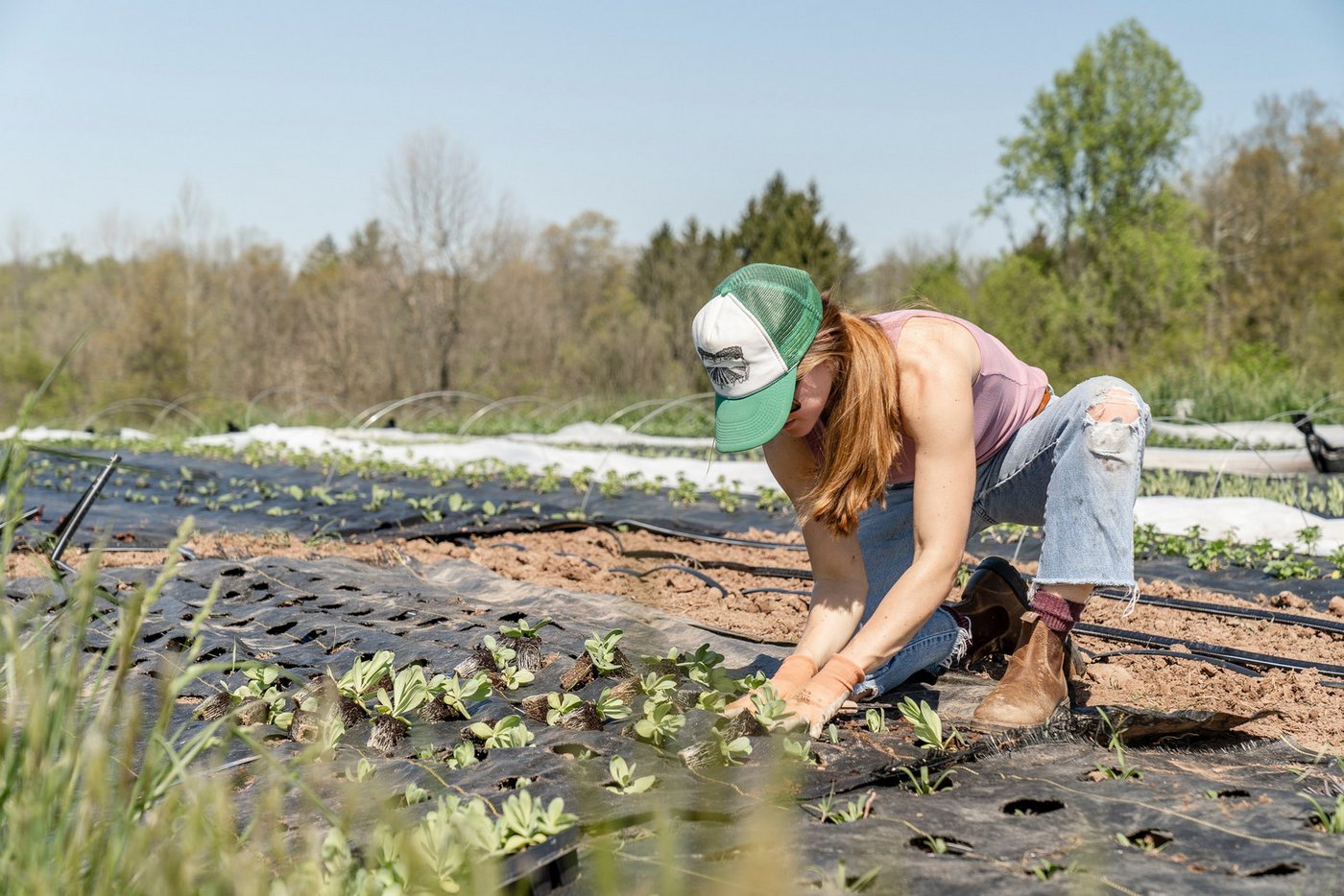 EraGreen Bodenschutzvlies EraGreen reißfeste Unkrautfolie 1m x 0,5m, UV-Stabil und wasserdurchl, (EraGreen reißfeste Unkrautfolie, UV-Stabil wasserdurchlässig Bodengewebe Gartenfolie)