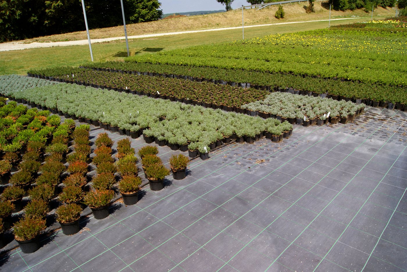 EraGreen Bodenschutzvlies EraGreen reißfeste Unkrautfolie 1m x 0,5m, UV-Stabil und wasserdurchl, (EraGreen reißfeste Unkrautfolie, UV-Stabil wasserdurchlässig Bodengewebe Gartenfolie) Bild 2