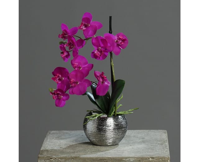Kunstorchidee 30cm im Keramiktopf, Silber künstliche Orchidee Kunstpflanze Phalaenopsis, mucPlants