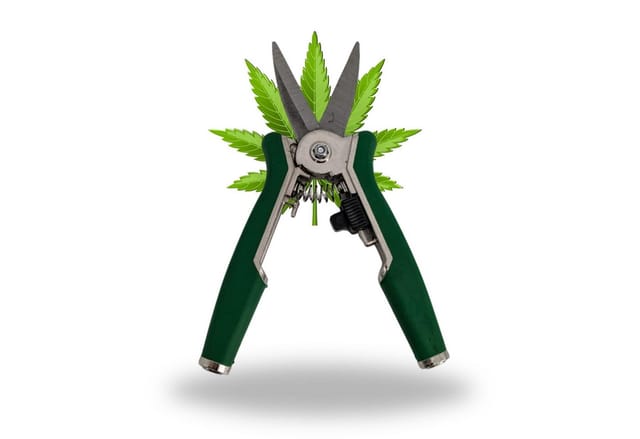 TronicXL Gartenschere Grow Ernteschere Gartenschere Schere für Growbox Zelt Trimmen ernte, (1-tlg), Grower Zubehör für Growschrank Growzelt Komplettset
