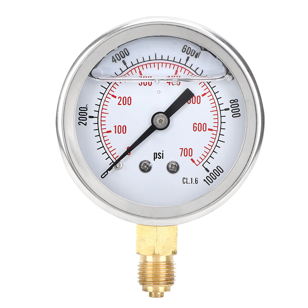 Ts-pgg604-700bar 1/4bsp Y60 Radialmanometer Für Die Druckmessung Im Haushalt