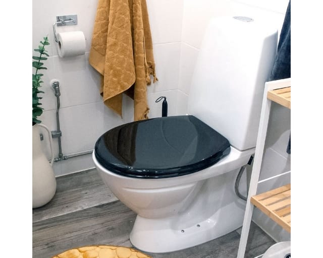Euroshowers GmbH WC-Sitz Soft Touch Soft-Close Abnehmbar & leicht zu reinigen Schwarz, Soft-Close, abnehmbar, Thermoplast, pflegeleicht, schnelle Montage