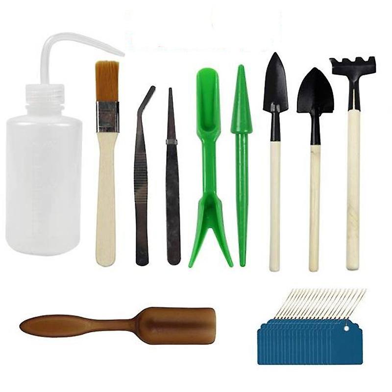 Gartengeräte-set Zum Umpflanzen Und Aussäen Von Sukkulenten - Enthält Eine Sämaschine, Einen Topf, Einen Bohrer Und Einen Setzling.