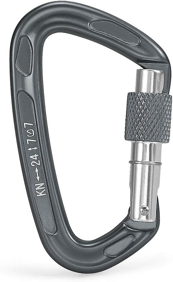 Automatischer D-förmiger Sicherheitshaken In Silber Für Eisklettern Und Bergsteigen Im Freien, Hergestellt Aus Einer Robusten Magnesium-aluminium-legierung.