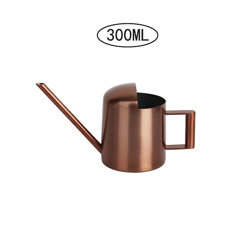 Miniatur-gießkanne Aus Edelstahl Für Den Innenbereich (300 Ml) Mit Langem Ausguss Und Griff – Farbe Bronze