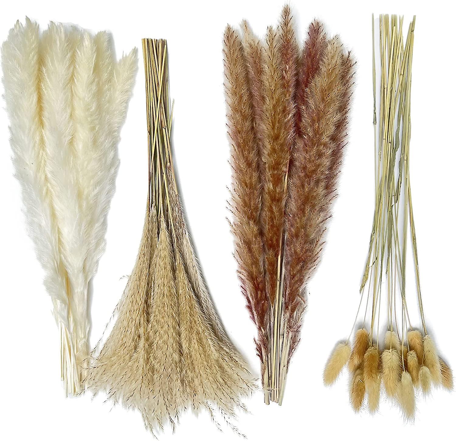 Getrockneter Pampasgrasstrauß – 80 Stück À 42,5 Cm, Naturweiße Und Braune Stiele, Schilf Und Kaninchenschwanz Für Zuhause, Hochzeiten Und Boho-dekoration
