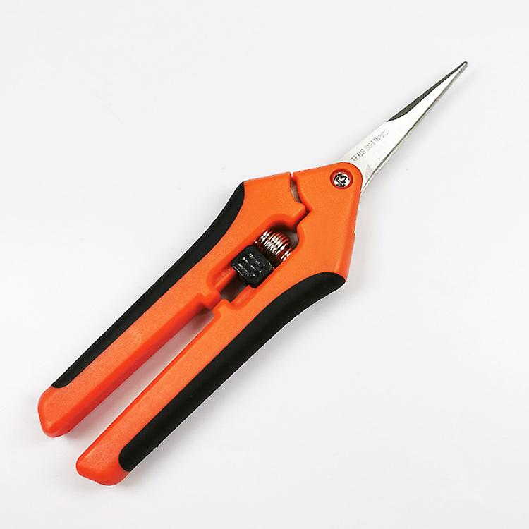 Professionelle G85 Gartenschere Aus Edelstahl, Orange Und Schwarz, Mit Gerader Klinge – Kartonverpackung